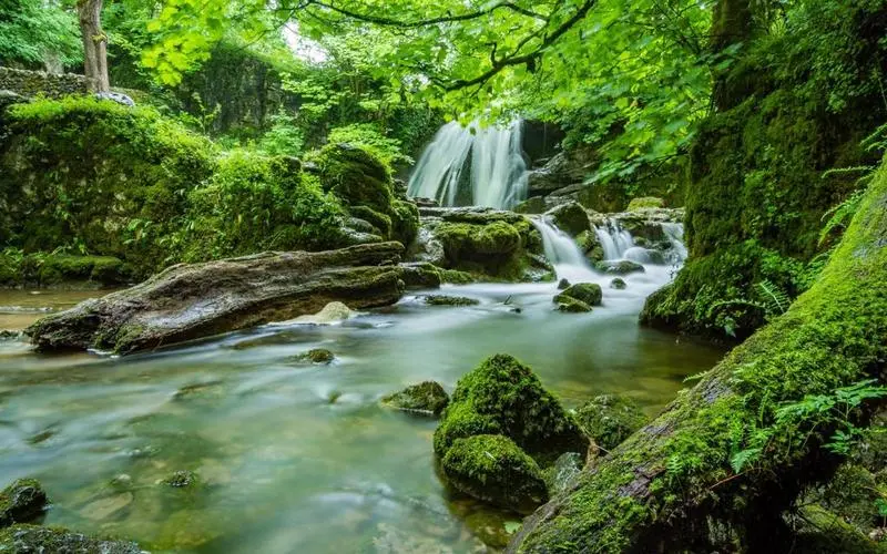 高标准环保高效
